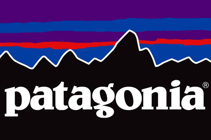 The CEO of Patagonia’s Drastic Action
