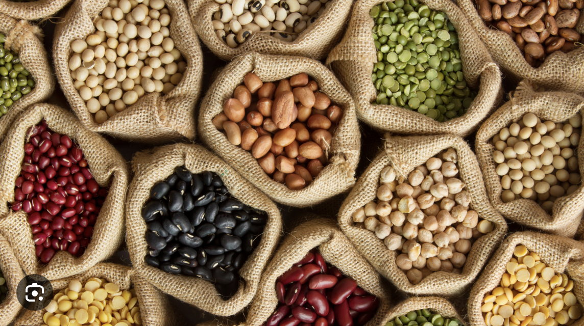 Feeding the Future: Plant-Based Alternatives