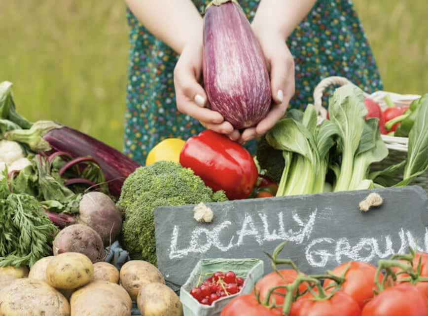 Sustainable Feed Rundown