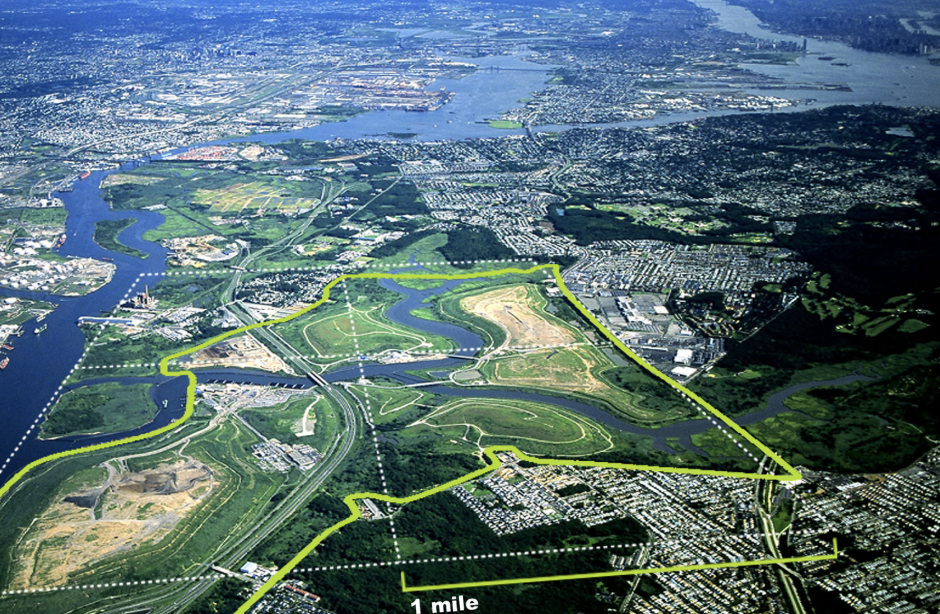 From Landfill to Violets