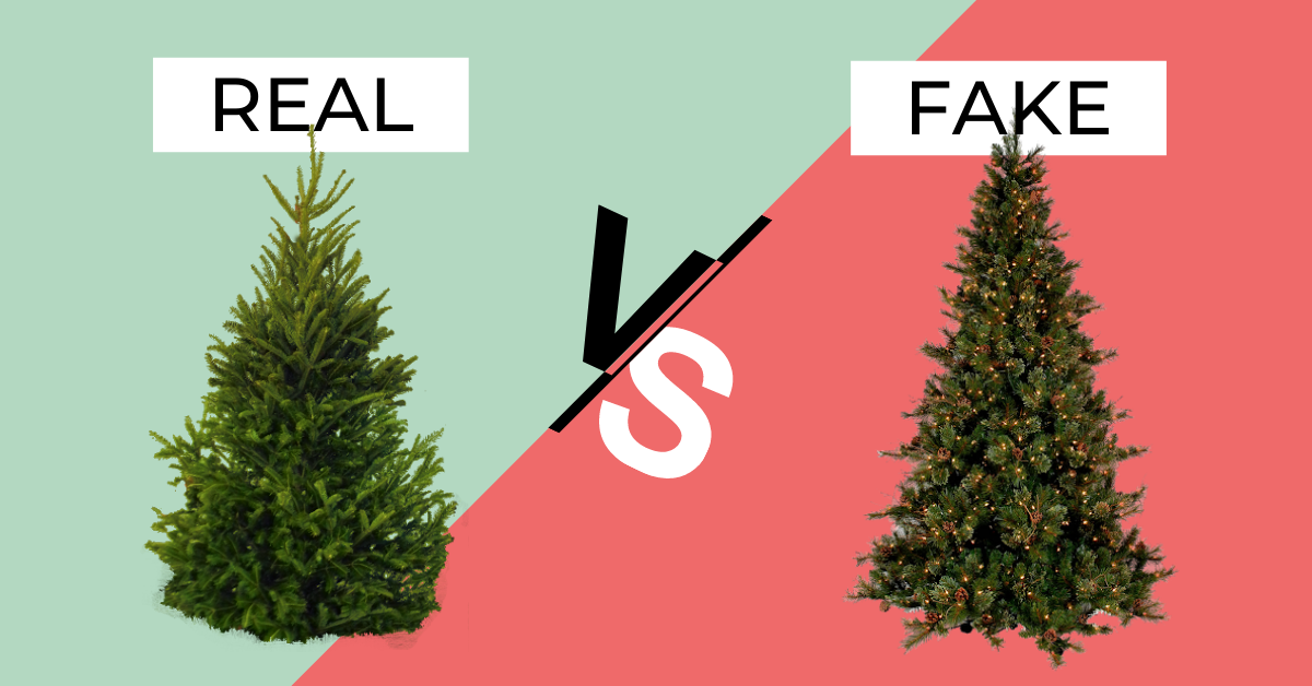 Real or Fake Christmas Trees: Which is Better for the Environment?