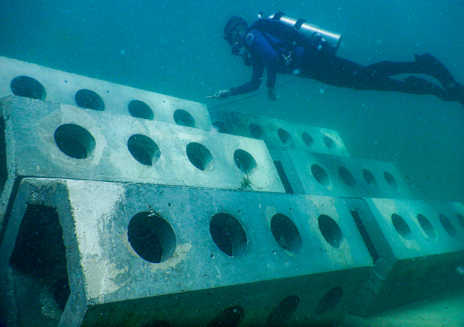 Hybrid Reefs: Coastal Protection and Carbon Sequestration