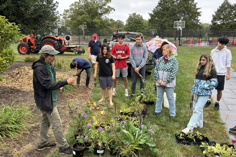 Medicinal and Native Garden Planting